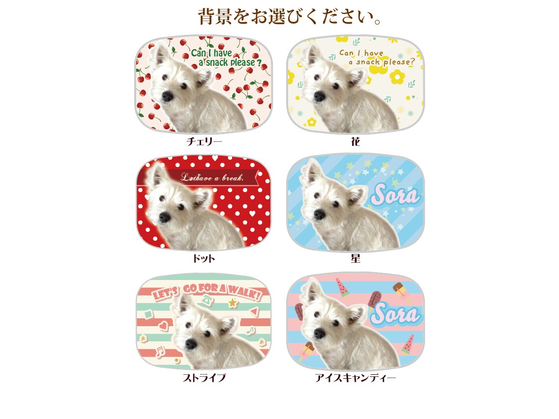 お気に入りのお写真で♪ピルケースをお作りします 見る度にワクワク♪世界にたったひとつのピルケースです♪ イメージ3