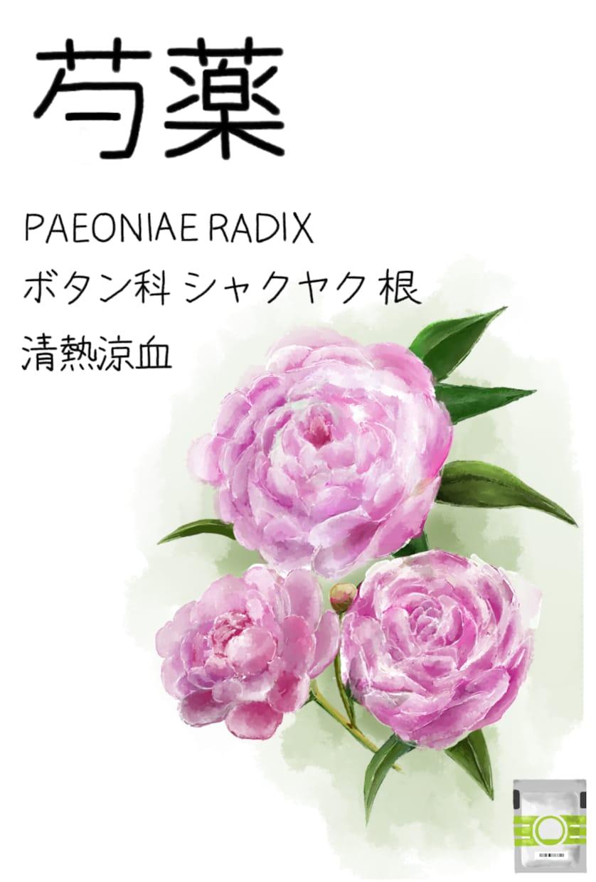 シンプル可愛い植物のイラスト描きます シンプル可愛い植物のイラストを描きます。挿絵やポストカードに イメージ5