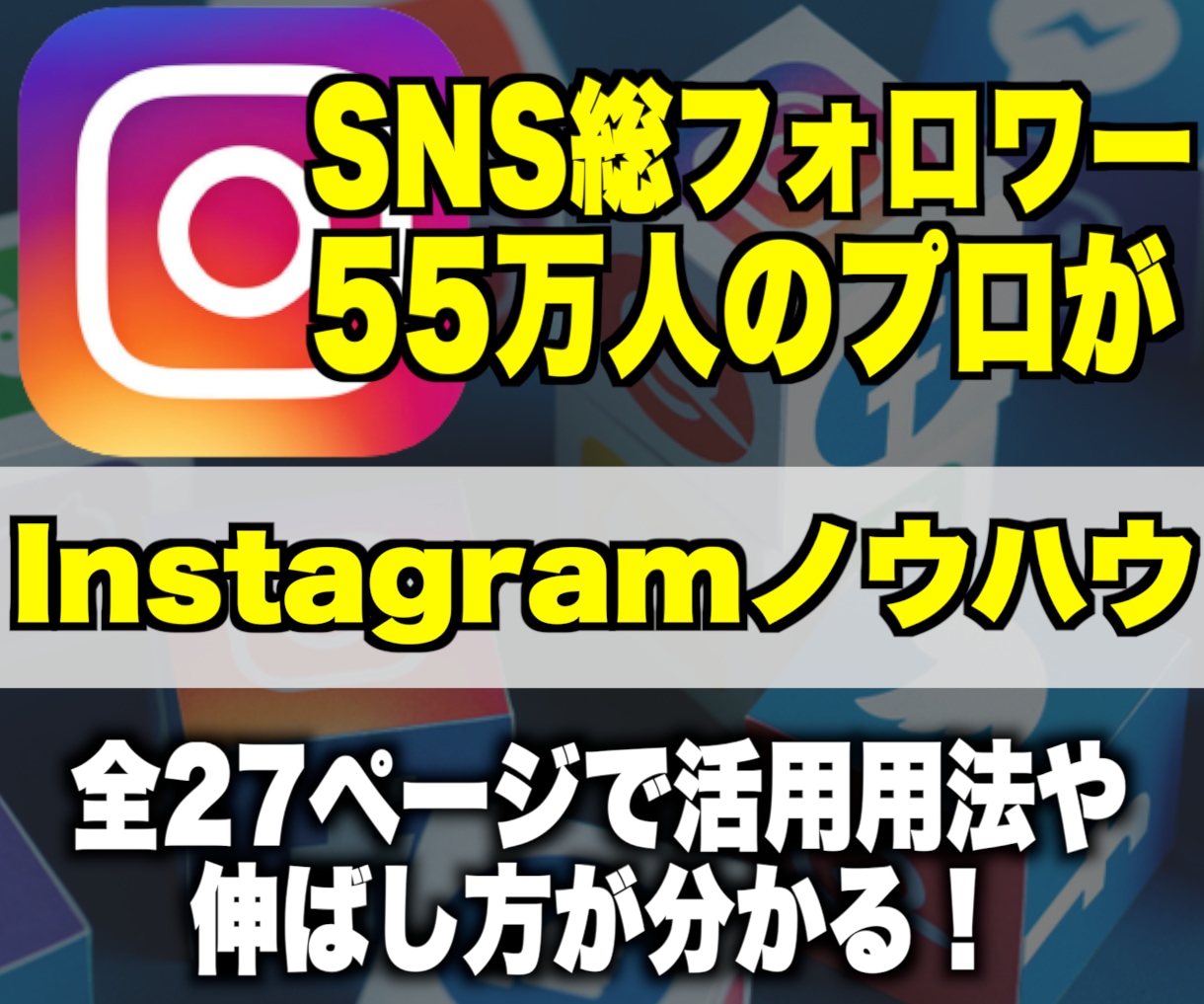 SNSのプロがガチのインスタのノウハウを教えます フォロワー55万人のプロによるInstagramノウハウ イメージ1
