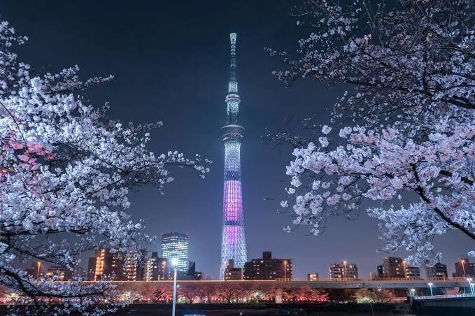 辛いこと誰にも言えないことなんでもお聞きします 考えながらゆっくり相談したい方におすすめ！ イメージ1