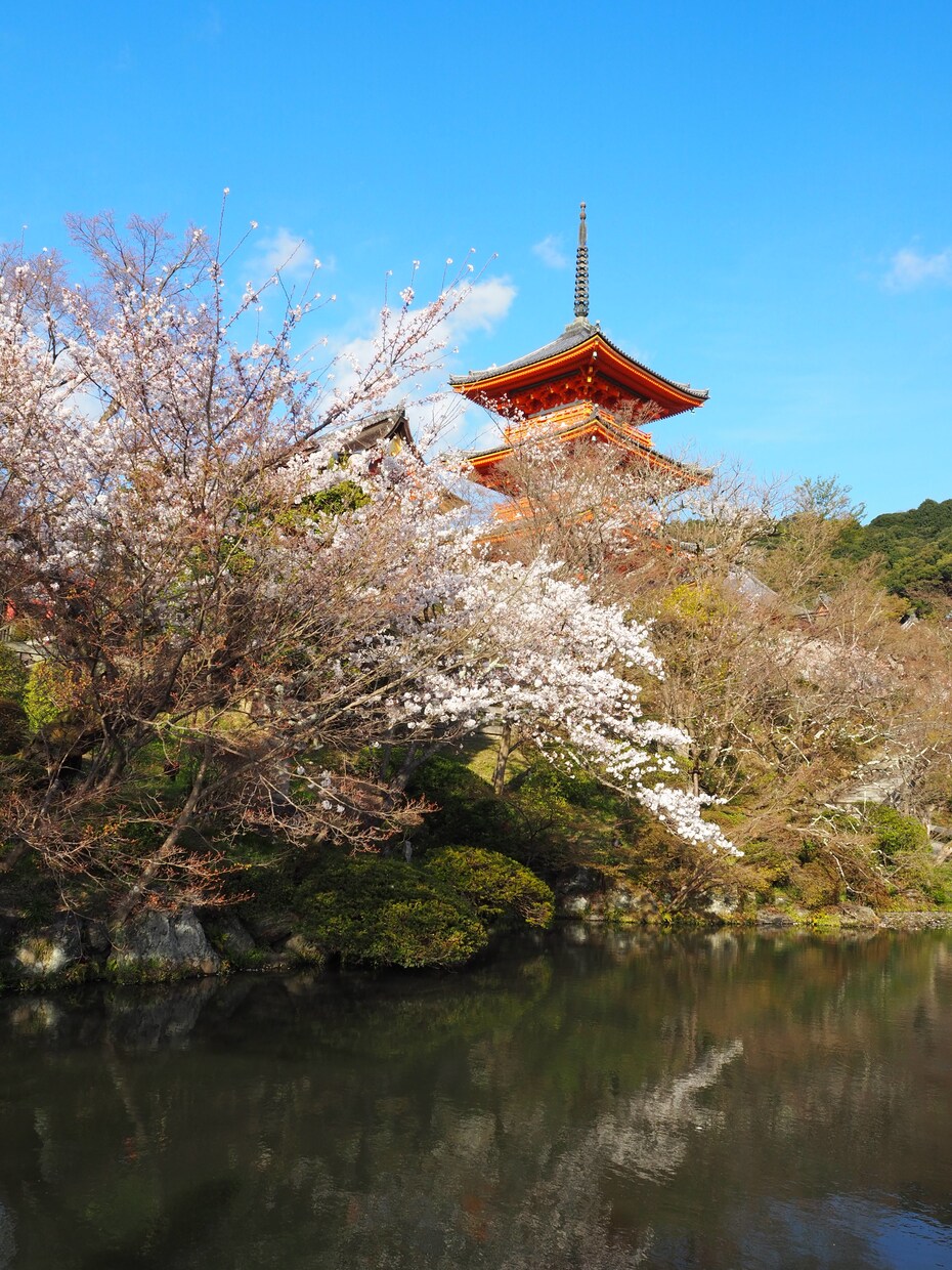 一眼レフで撮影した風景画等を提供します 女子大生が撮った高画質写真をお届けします！ イメージ1