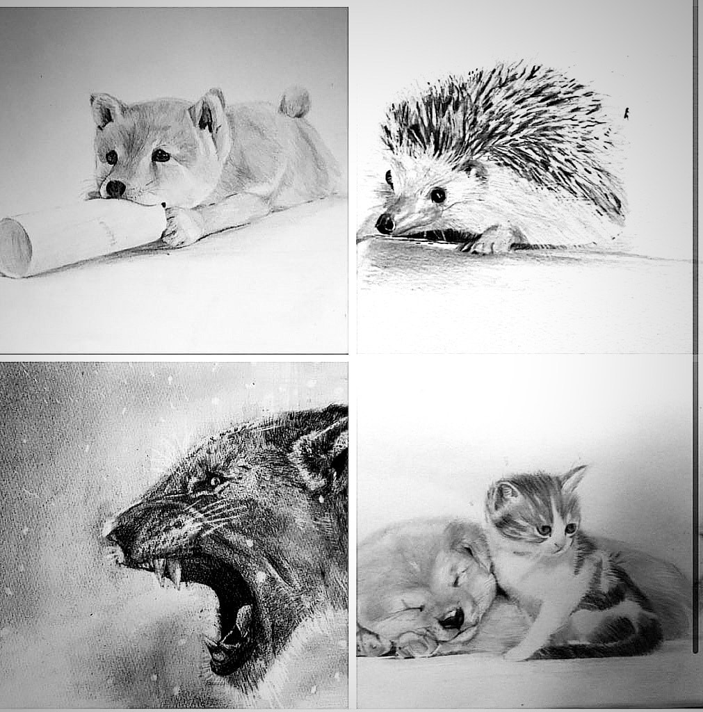 鉛筆で動物を描きます 生命を感じさせる魅力的な画を目指します。 イメージ1