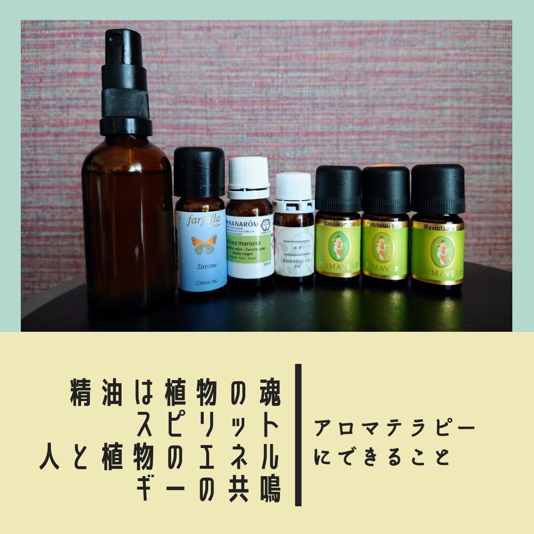アロマ講師が資格取得や使い方のコツを伝授します 初心者から上級者まで、今の貴方に必要なスキルをお伝えします イメージ2