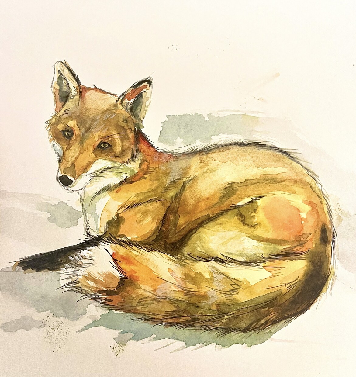 原画郵送✳︎動物を透明水彩や色鉛筆で描きます お好きな動物や愛するペットなど何でも描きます！ イメージ2