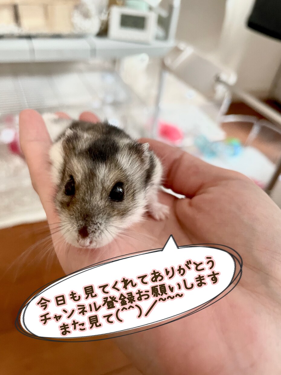 POP作ります 商品POPやイベントのチラシ、代わりにお作りします！ イメージ2