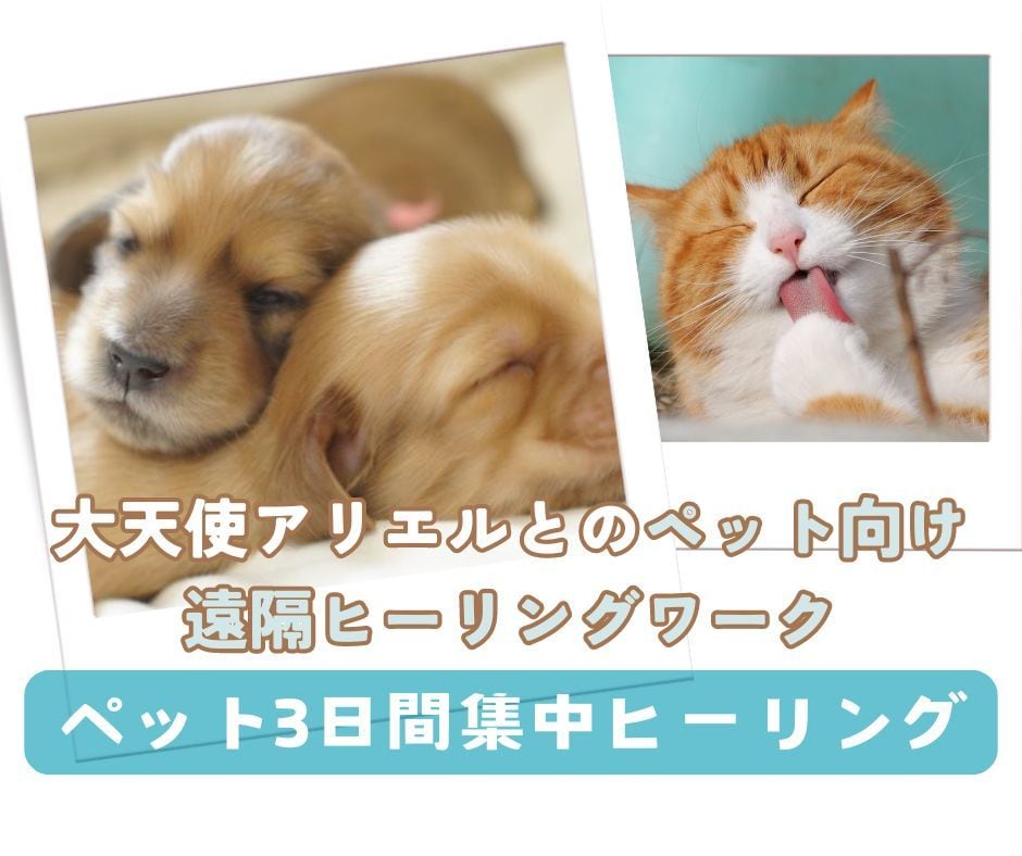 ３日間集中遠隔ヒーリングで大天使とペットを癒します ★大天使アリエル★ペットの元気が無い時の集中的なサポート イメージ1