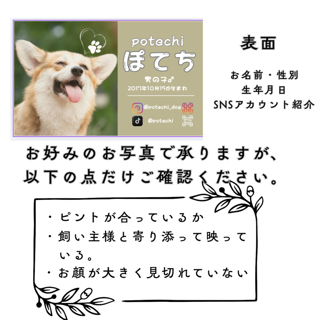 シンプルでかわいいデザインのうちの子名刺を作ります イベントで大活躍！思い出に残るペットのオリジナル名刺！ イメージ3