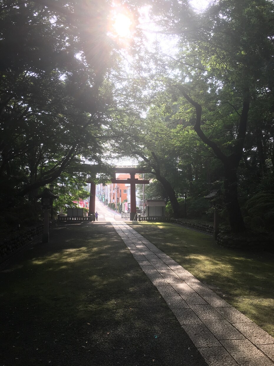 あなたの頭の中、すっきりさせるお手伝いをします 元銀座ホステス兼看護師が、あなたの想いに寄り添います☻ イメージ3