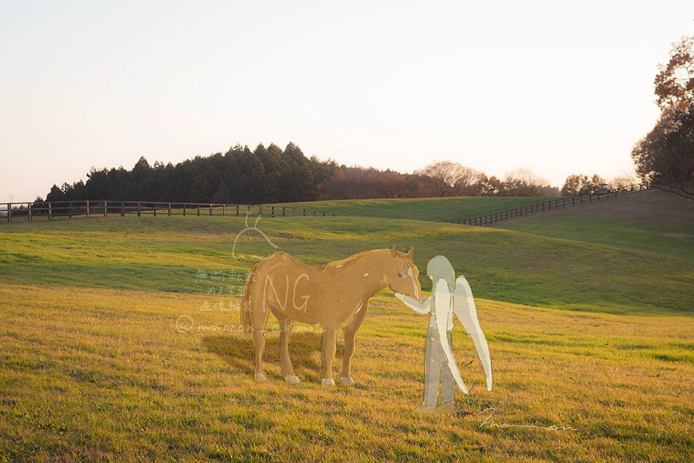 写真とイラストを組み合わせた1枚絵を制作します 静かで儚い雰囲気が好きなあなたへ イメージ5