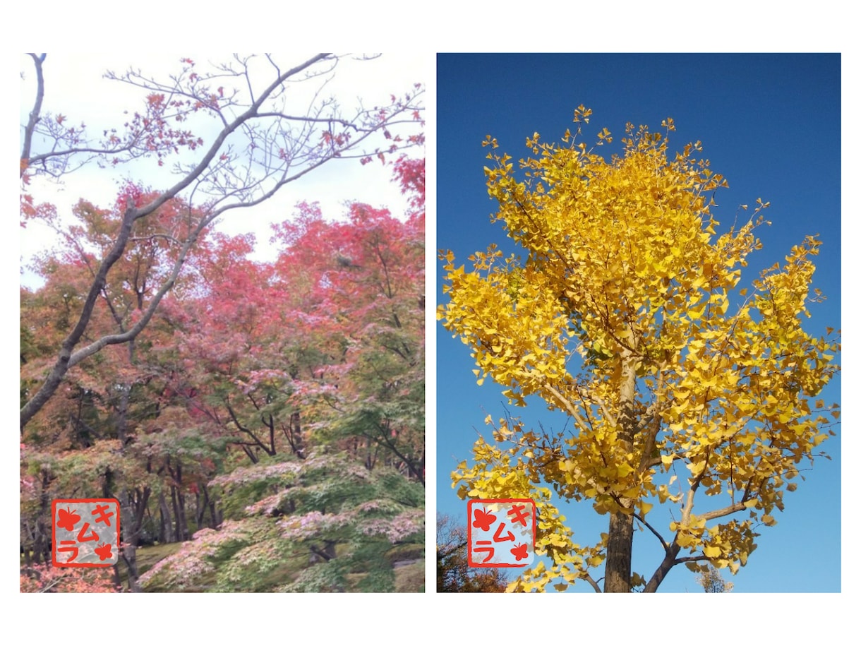 SNSで使えるデジタルはんこ作ります 写真に、自分だけのはんこを押してオリジナリティーを出そう イメージ5