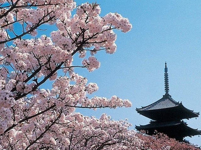 コラムやエッセイの執筆を承ります 人生経験豊富なので「大人」の視点、立ち位置での著述に成ます。 イメージ2