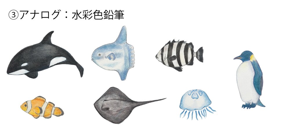 3柄の価格！図鑑風な動物・食べ物イラスト描きます アイコン、HP、パンフレット、個人挿絵など イメージ5
