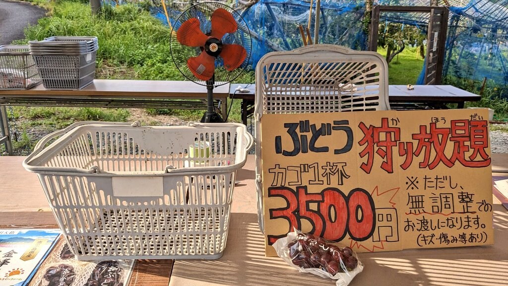 手書き段ボール看板、POP制作いたします 短期間のイベントや掲示物におすすめののPOPを制作致します。 イメージ4