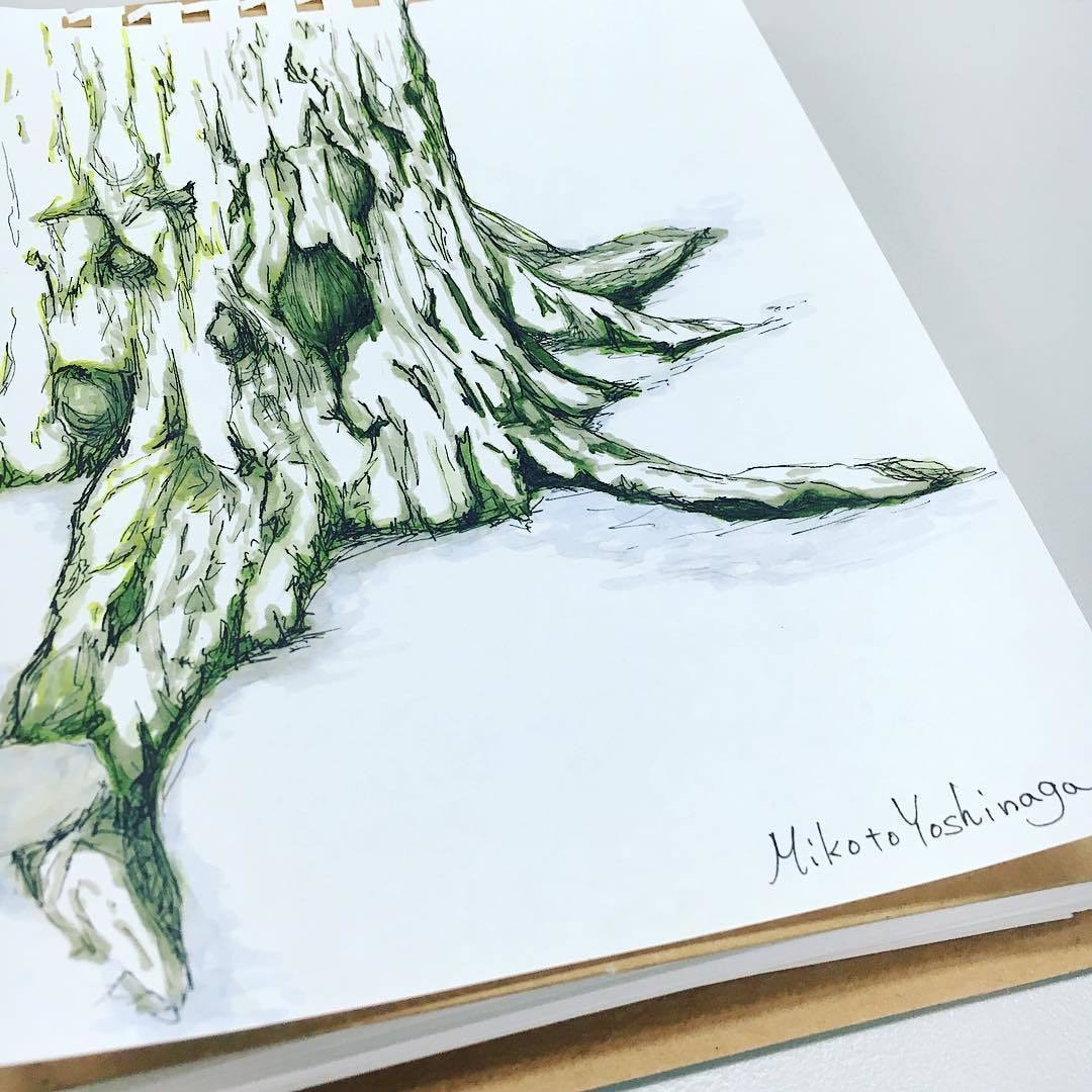 味のある植物のイラスト描きます 植物のある暮らしをまずは絵から始めませんか？ イメージ6