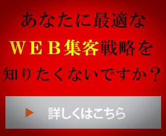WEB集客診断　WEB集客のスポットコンサルします WEB集客で成功するために何をどうしたら良いのか知りたい方へ イメージ1