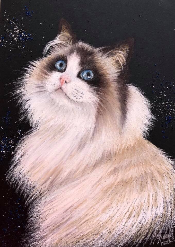 チョークアートでオリジナルなペット画描きます ペットのワンちゃん猫ちゃんの絵をインテリアに♪プレゼントに♪ イメージ3