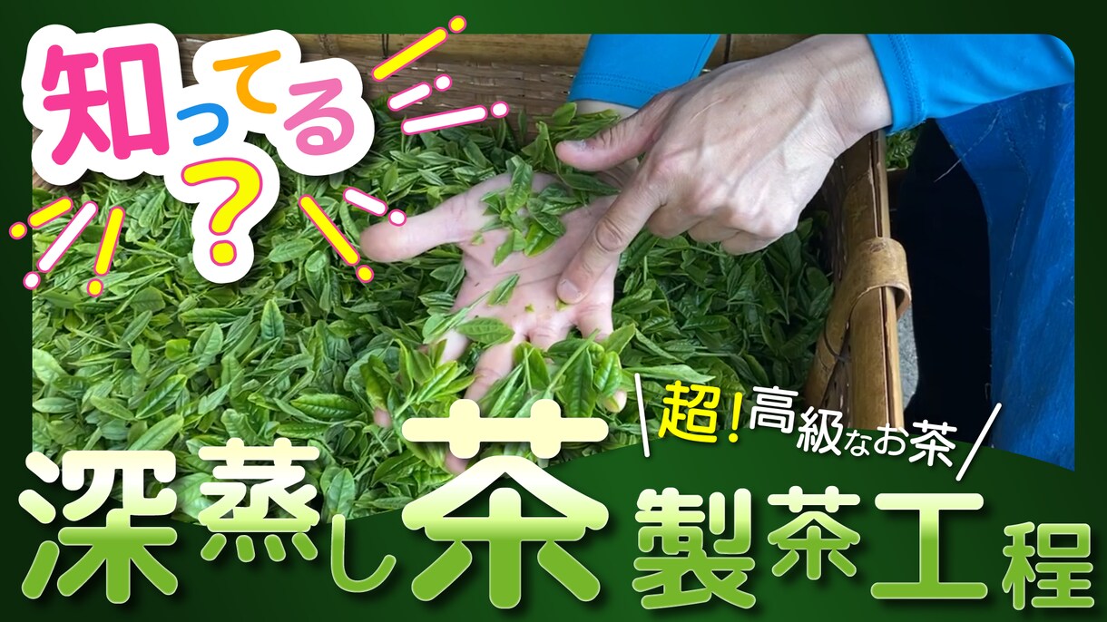 ずんだもんの音声つけます！ます TikTok再生回数１万回越え多数でペット動画あげてます！ イメージ1