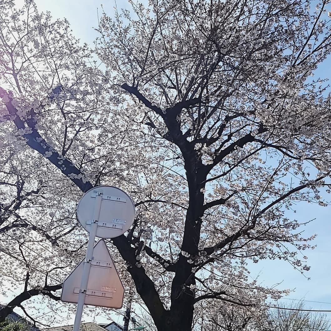 現役看護師があなたに寄り添った電話相談 いたします 現役ナースが寄り添った電話相談＊何でも安心して話して下さい イメージ1