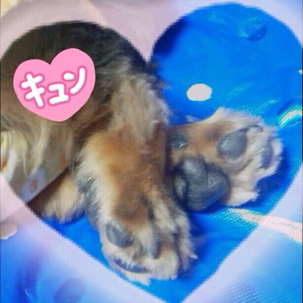 タロット占いで、恋愛、仕事、総合運を占います。悩みを抱えている皆様のお役にたちたいです。 イメージ1