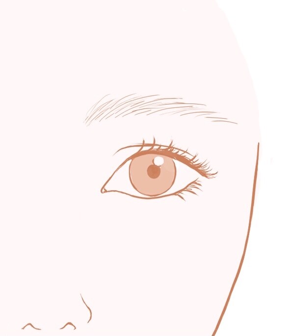 眉毛デザインのイラスト描きます サロンでお使いいただける眉のデザインを作成します イメージ2