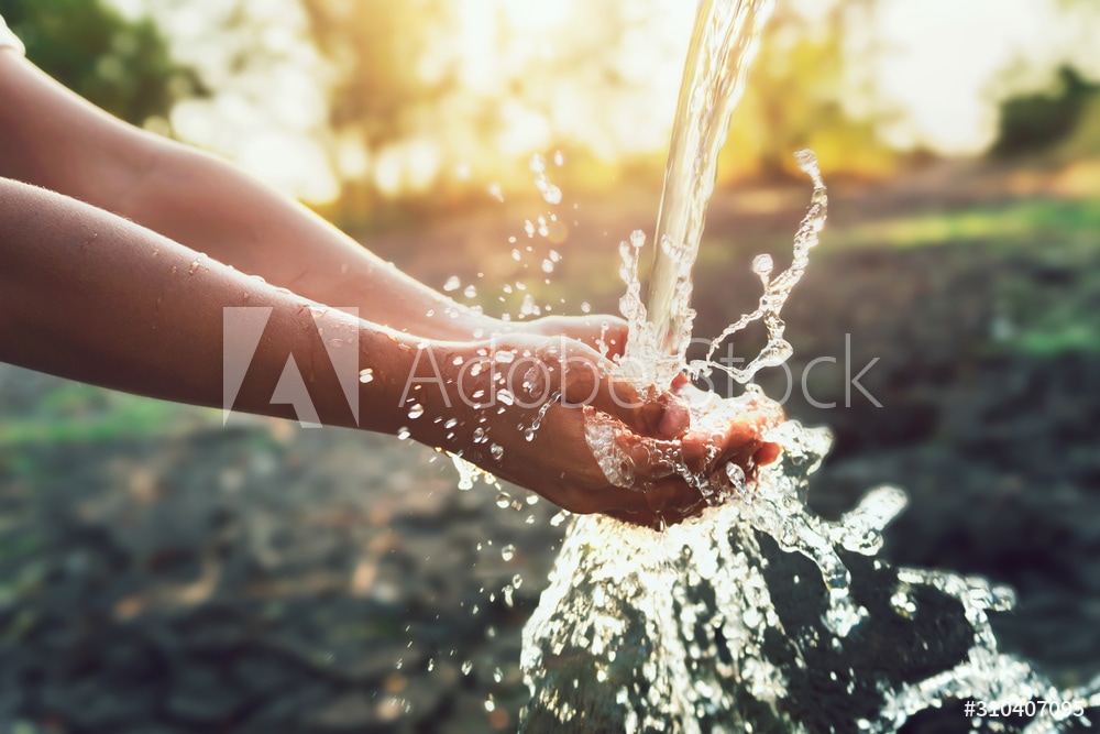 健康オタクから教わった「秘密の水」の作り方教えます 家でできるシンプルかつ最強のデトックス方法 イメージ2