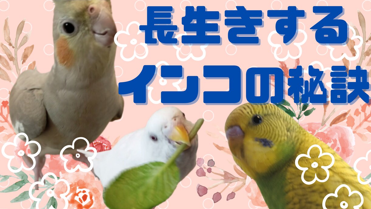 アイキャッチ５枚ご要望に合わせて作ります 低価格！You Tube、SNS！文字入れ、装飾お任せ下さい イメージ5