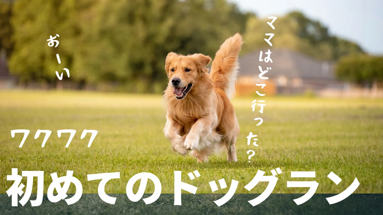 目の引くYouTubeのサムネイルを制作します 再生数を稼げるYouTubeサムネイルを作ります。 イメージ1