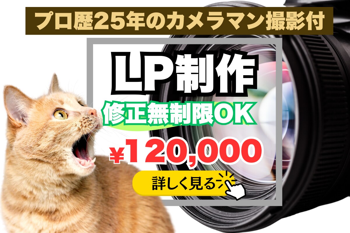 プロ歴25年の写真撮影付き★高品質LP制作します プロフォトグラファーとデザイナーの一気通貫で高品質LPを提供 イメージ1