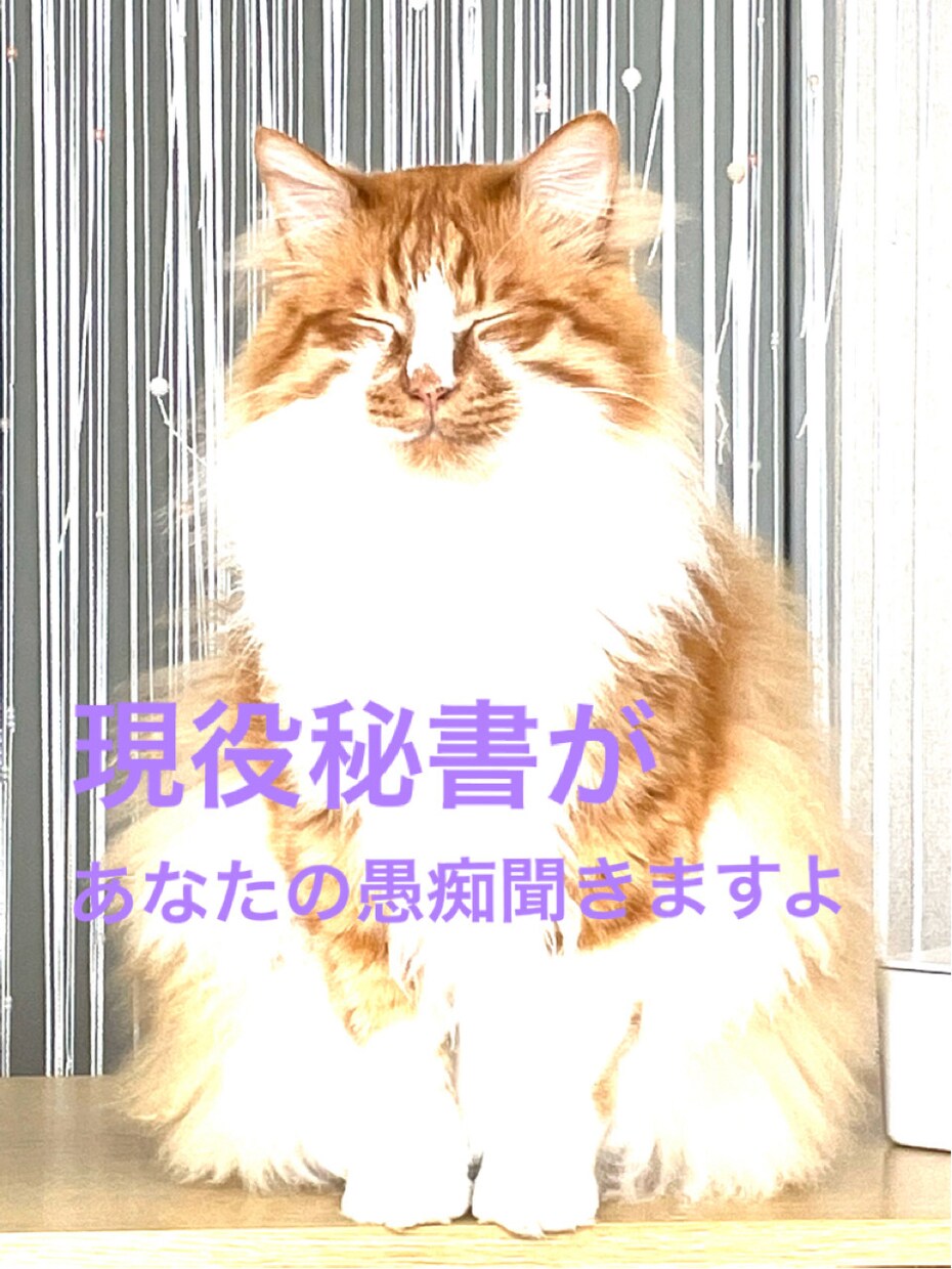 知り合いには言いづらい話し、なんでも聞きます 転職回数8回！離婚経験もあり、いろんな人間見てきています！ イメージ1