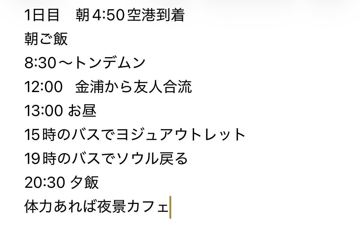 ソウル、行きたい場所を全部入れて無駄なく回れます 在日韓国人×韓国語堪能！無駄なく巡るソウル旅プラン。 イメージ2