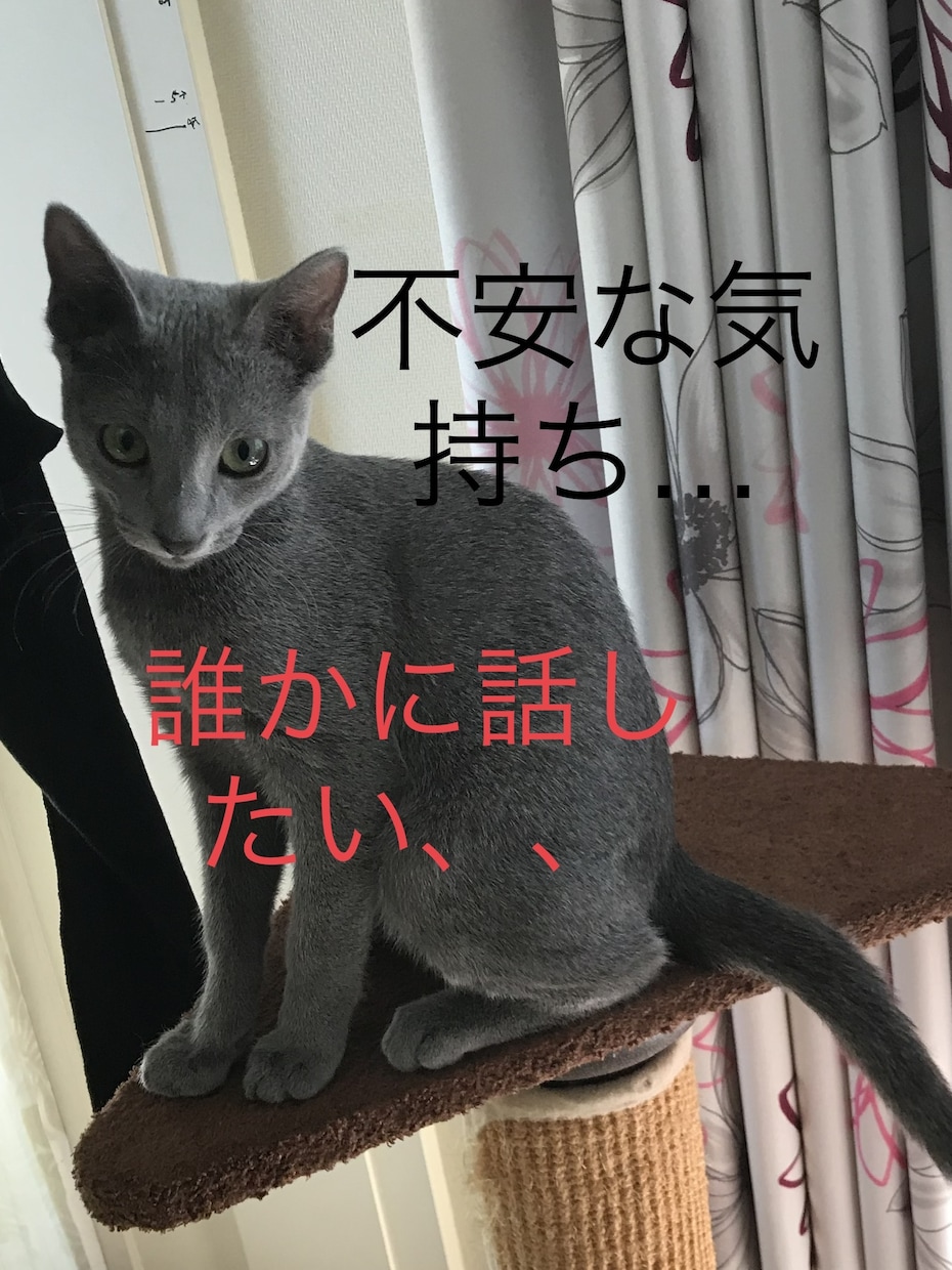 今のあなたの気持ち…受け止めます 電話するのはちょっと…傾聴のプロにお聞かせください(^.^) イメージ1
