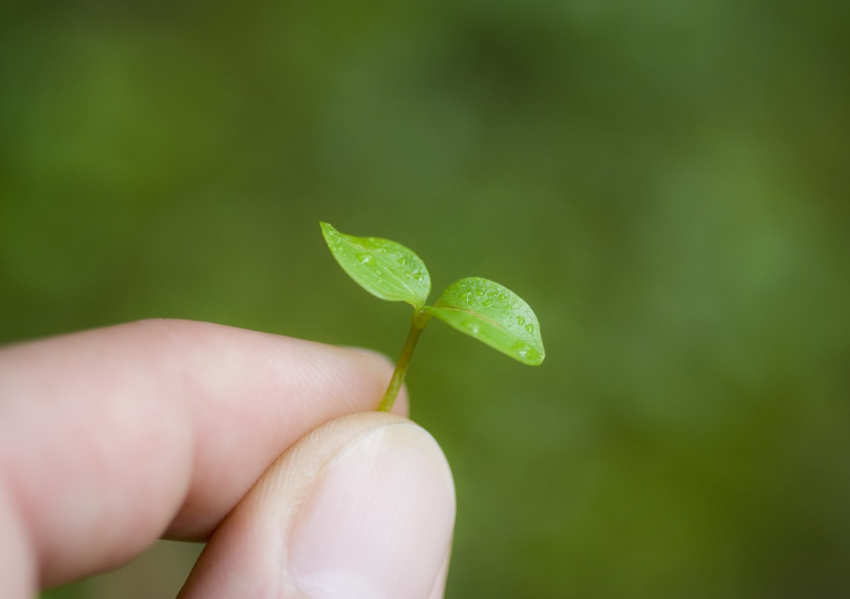 漠然とした不安を軽減！あなたの心に寄り添います 理想の自分に近づくためのカウンセリング イメージ2