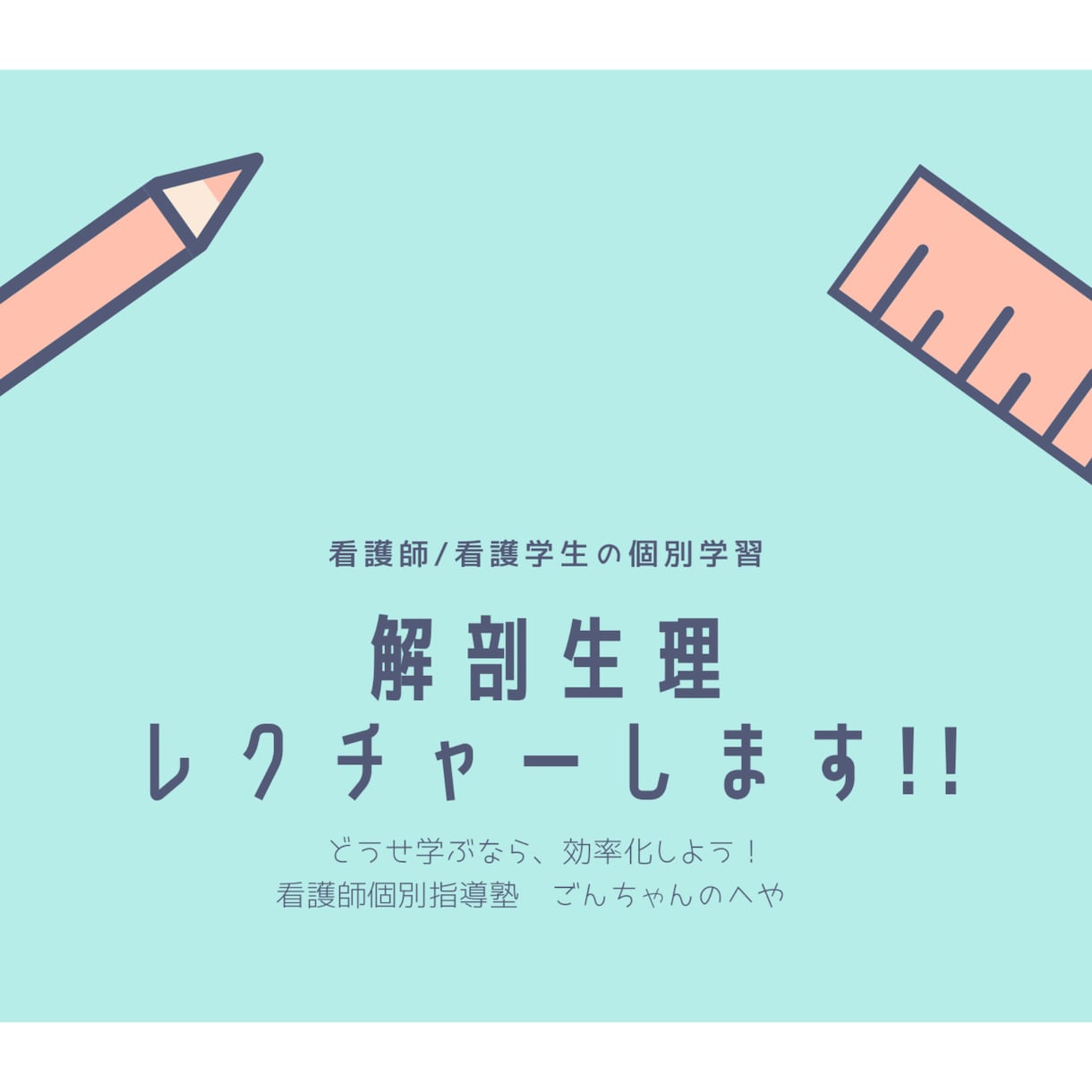解剖生理、基礎からしっかり教えます どうせやるなら、効率的に!!あなたの学習を徹底サポート イメージ1