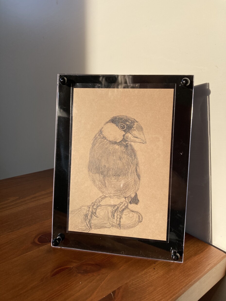 鉛筆でぬくもりを感じる動物の似顔絵を制作します 【葉書サイズ手描き鉛筆画】インテリア、贈り物、アイコン等に イメージ2