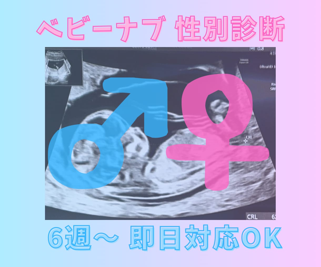妊娠6週〜＊スピード対応ベビーナブ性別診断します 『 妊娠初期のドキドキに、やさしく寄り添う性別予測 』 イメージ1