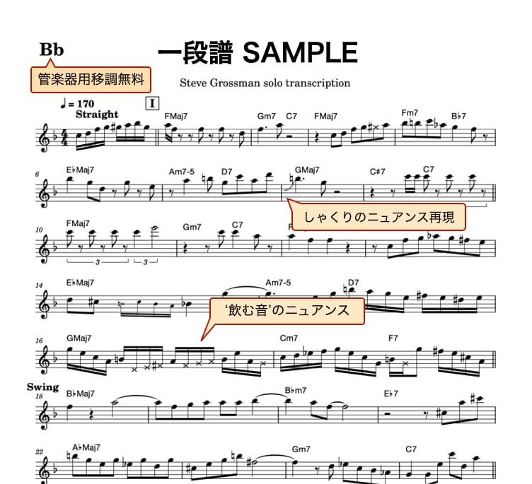 耳コピ採譜｜プロのジャズピアニストが楽譜作成します ピアノ・全楽器対応｜譜面＋確認動画付｜耳コピからアレンジまで イメージ3