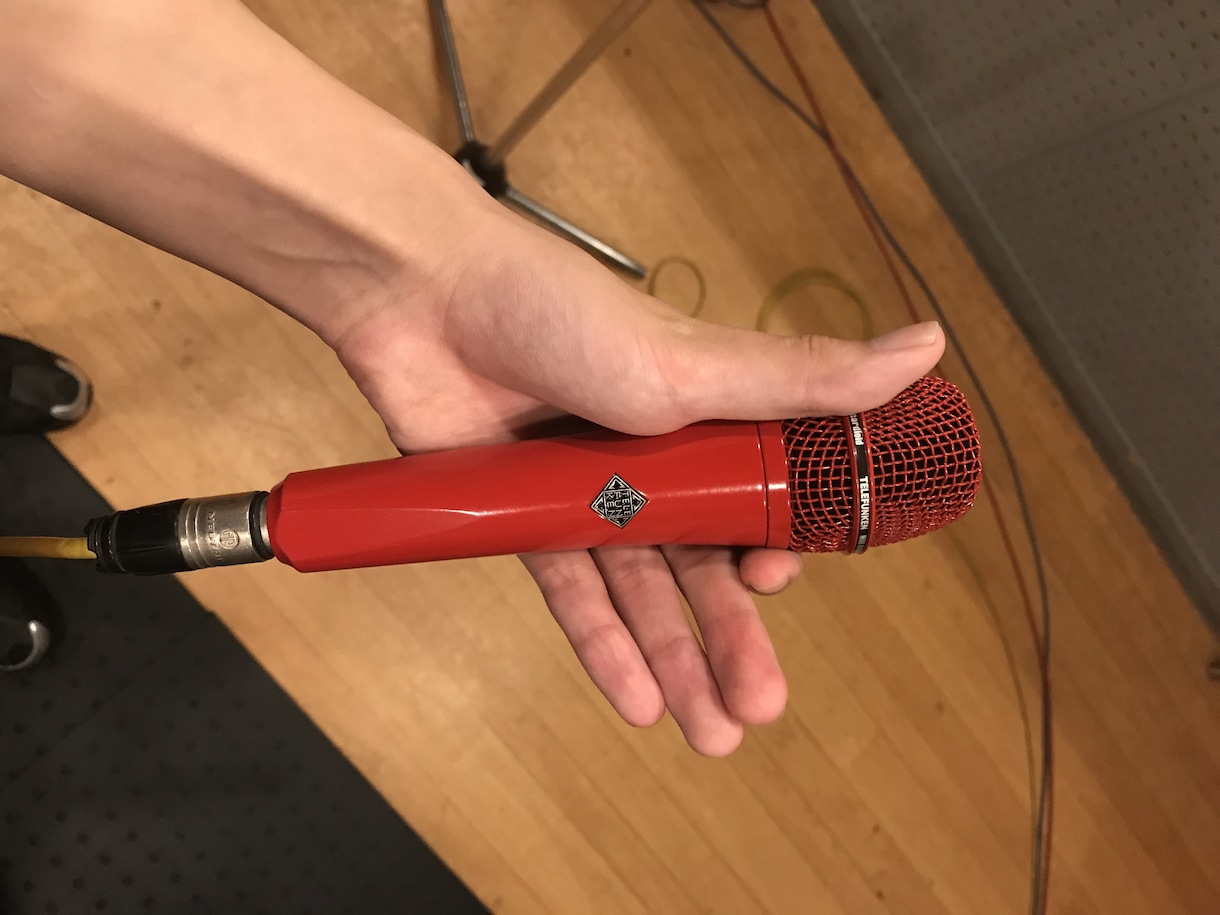 仮歌歌います あなたの作曲した曲に歌を入れます イメージ1