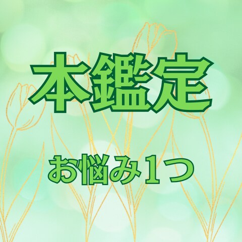 人生を整える九星気学鑑定します 相性・金運・恋愛・結婚・吉方位（引っ越し/旅行）お悩み1つ イメージ1