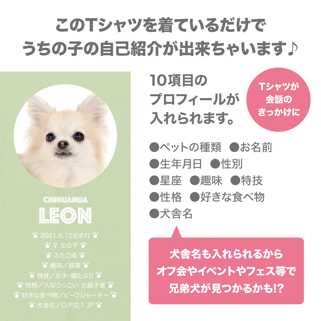ペット（犬　猫）の画像で、うちの子Tシャツ作ります プロフィール入りだから着ているだけで自己紹介が出来ちゃいます イメージ4