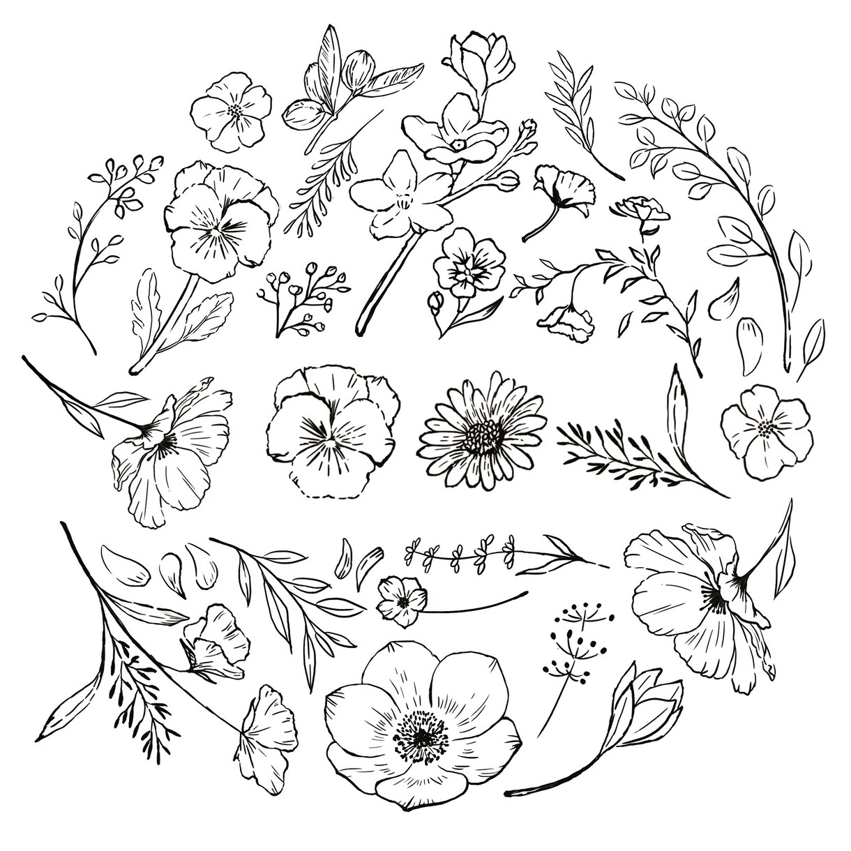 線画イラスト描きます 商用込み。人物、動物、植物、食物、製品など線画で描きます。 イメージ2