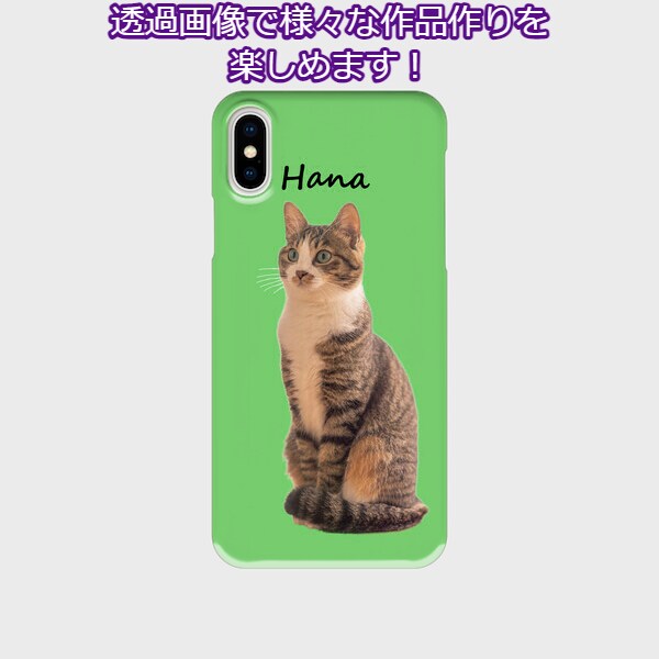 猫や犬などの画像をふわふわのまま透過加工します ペットの写真を透過し合成やオリジナルグッズに利用できます イメージ9