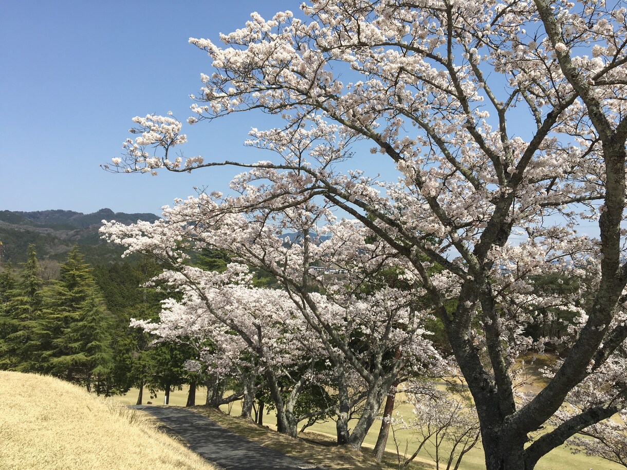 デートに代わりに誘います デートの文句考えます！！飾りすぎず、自然に！！ イメージ1
