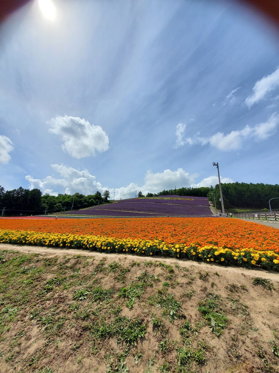 北海道の風景画像をお届けします 地元北海道での旅行が趣味で様々な北海道をお届けします。 イメージ3
