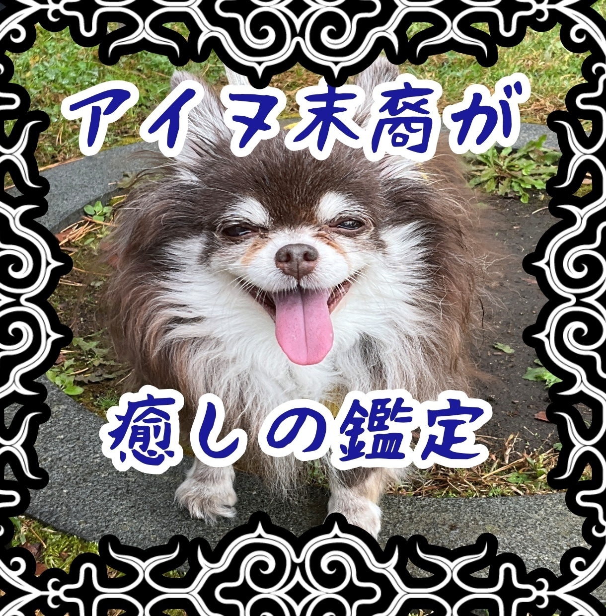 電話が苦手な方にチャット40分スピード鑑定します 恋愛から仕事など幾つでも！時間内なら質問数無制限でお悩み鑑定 イメージ2