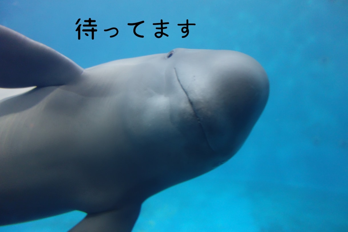 女性の方へ！1分からでもお話聞きます 雑談、相談、お悩みなどをお話しましょう。 イメージ3