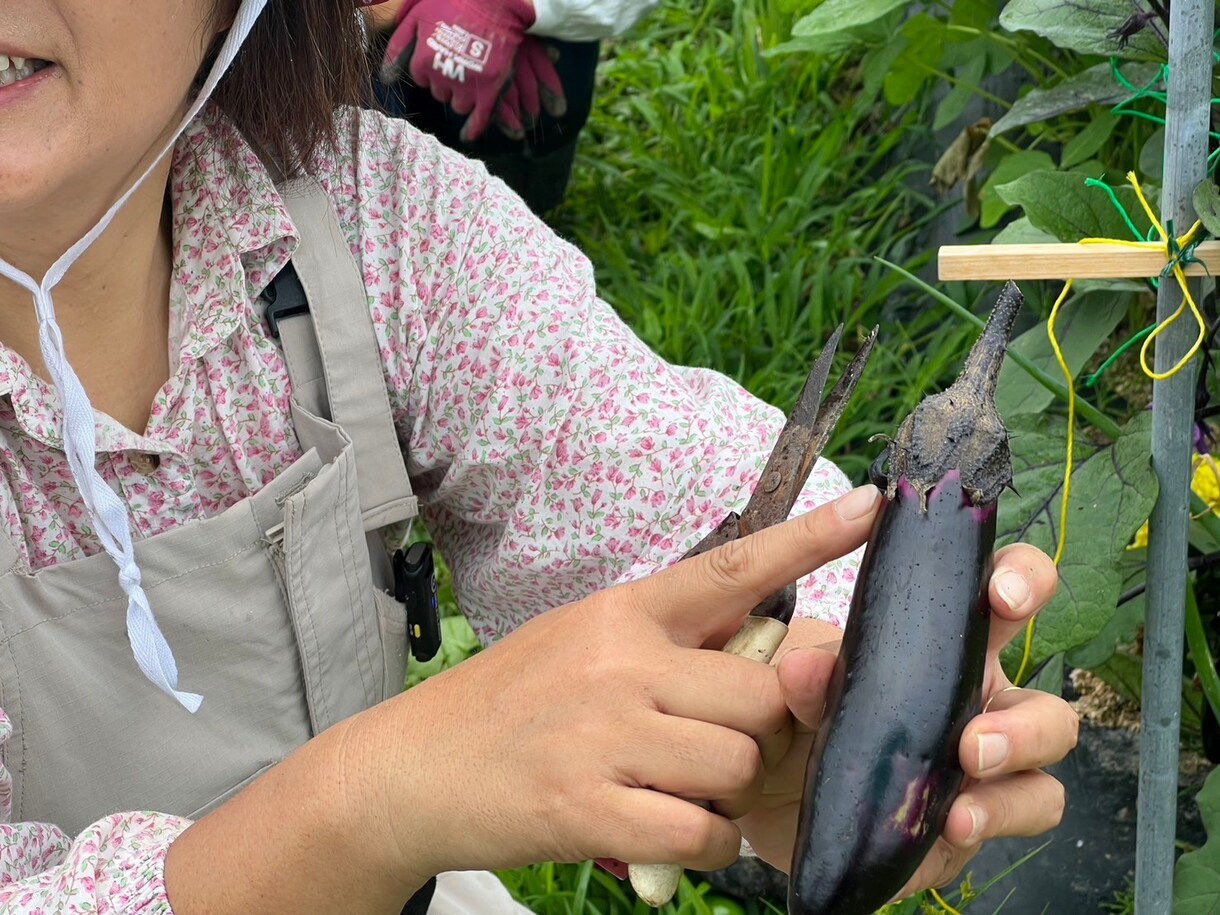 ナチュラル派野菜作りのお悩み相談にのります 10数年、有機・自然栽培で野菜作りをしてきた経験をお話します イメージ2
