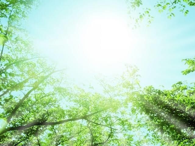 あなたの心が軽くなるお手伝いをします お話を聞き、あなたの心が軽くなるのを願います イメージ1