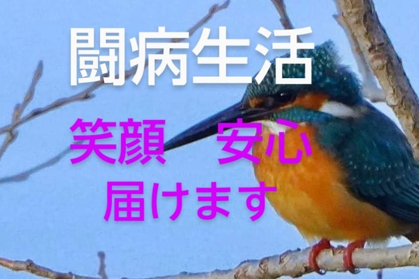 自宅療養　入院闘病生活♡(内緒　心の声)を聴きます 入院経験者とお話し♡不安　孤独　病気　怪我痛み　医療介護保険 イメージ5