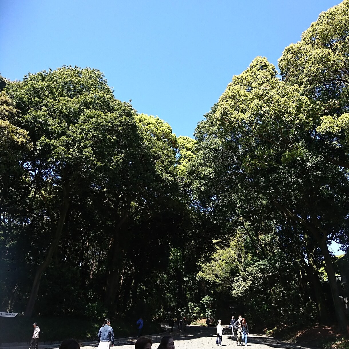 一年間の勉強で基本会話できる方法を教えます 外国語を使う機会がない、上手くなりたい人にオススメ！ イメージ2