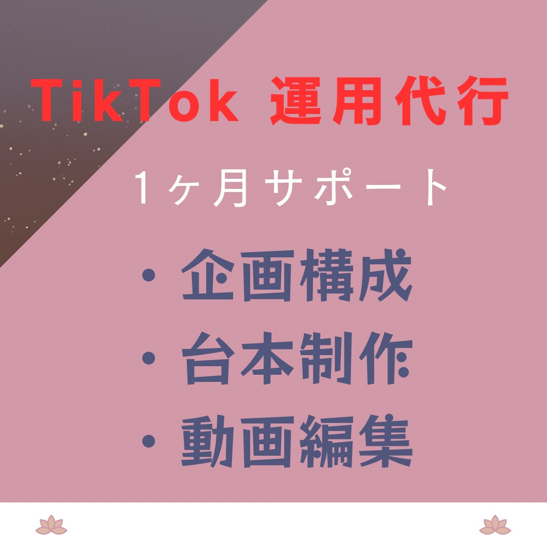 現役のTikTok万アカ運用者が運用代行いたします 集客・認知拡大・リクルート◇SNS初心者の方でも大歓迎！ イメージ1